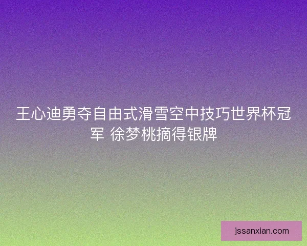 王心迪勇夺自由式滑雪空中技巧世界杯冠军 徐梦桃摘得银牌