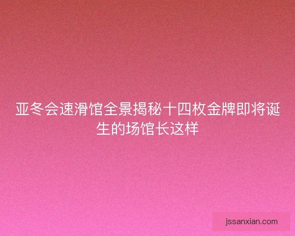 亚冬会速滑馆全景揭秘十四枚金牌即将诞生的场馆长这样
