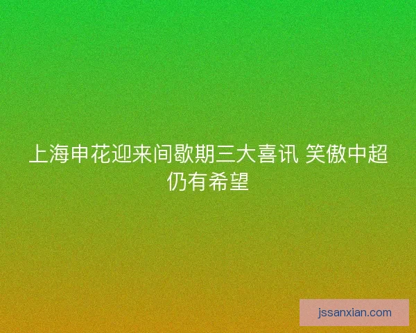 上海申花迎来间歇期三大喜讯 笑傲中超仍有希望