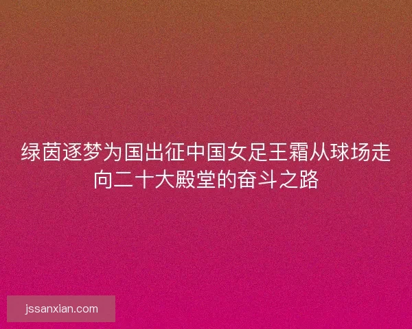 绿茵逐梦为国出征中国女足王霜从球场走向二十大殿堂的奋斗之路